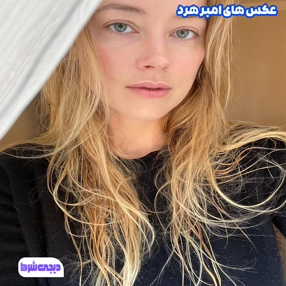 عکس های امبر هرد - دیجی شرط عکس های امبر هرد