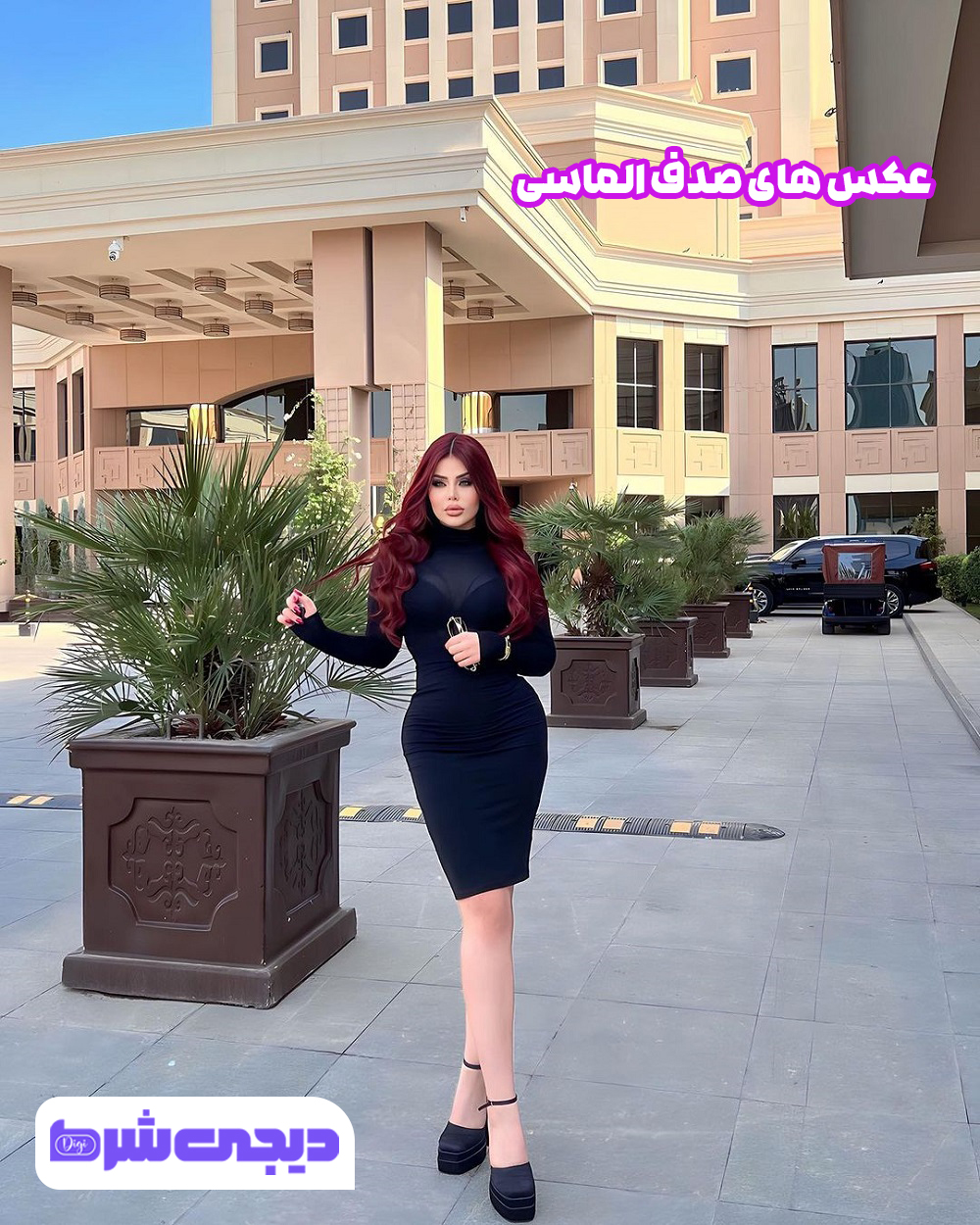عکس های صدف الماسی - دیجی شرط عکس های صدف الماسی