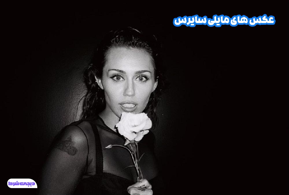 عکس های مایلی سایرس - دیجی شرط عکس های مایلی سایرس