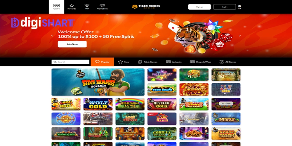 بازی های کازینویی تایگر ریچز Tiger Riches - دیجی شرط بازی های کازینویی تایگر ریچز Tiger Riches
