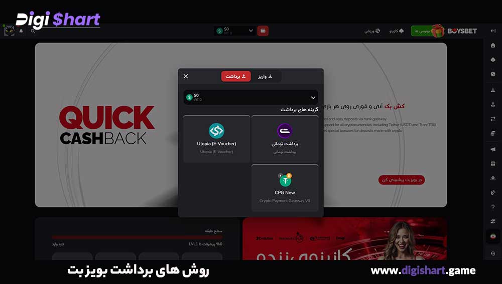 روش های برداشت بویز بت