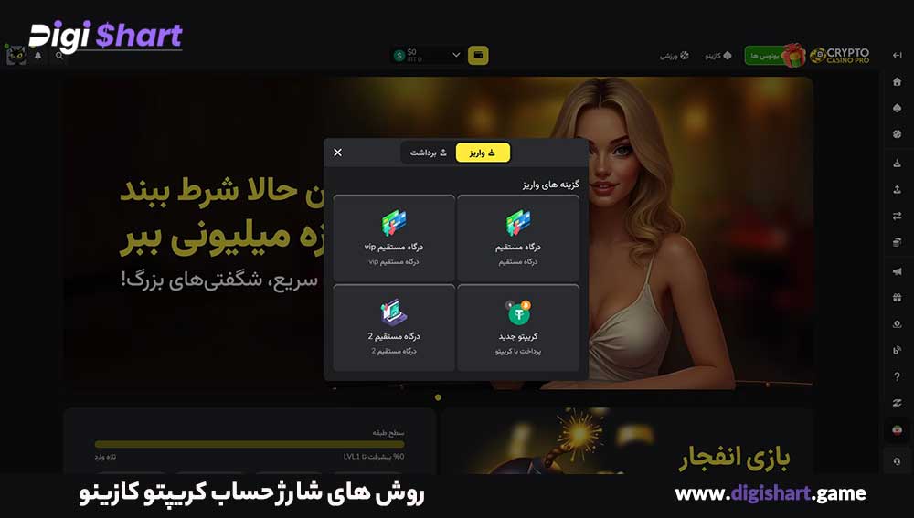 روش های شارژ حساب کریپتو کازینو پرو